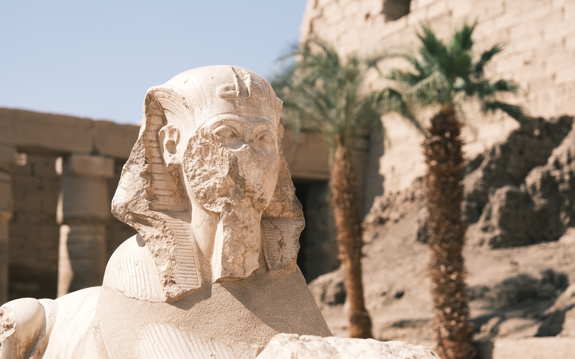 Nile Activities